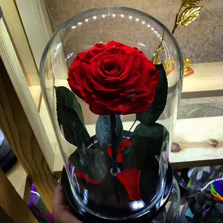 Роза в колбе с гарантией 5 лет